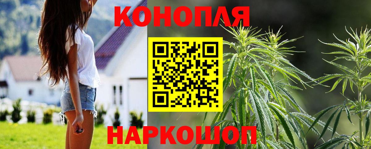 Бошки марихуана гибрид  Вход с VPN  Кунгур  Канабис тримм  Бошки марихуана семена 
